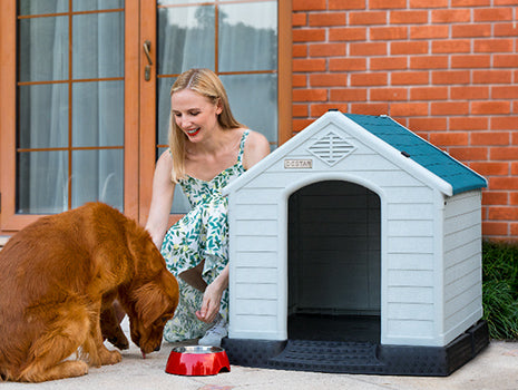 2022 Benefits of a Dog House and tips on how to choose it